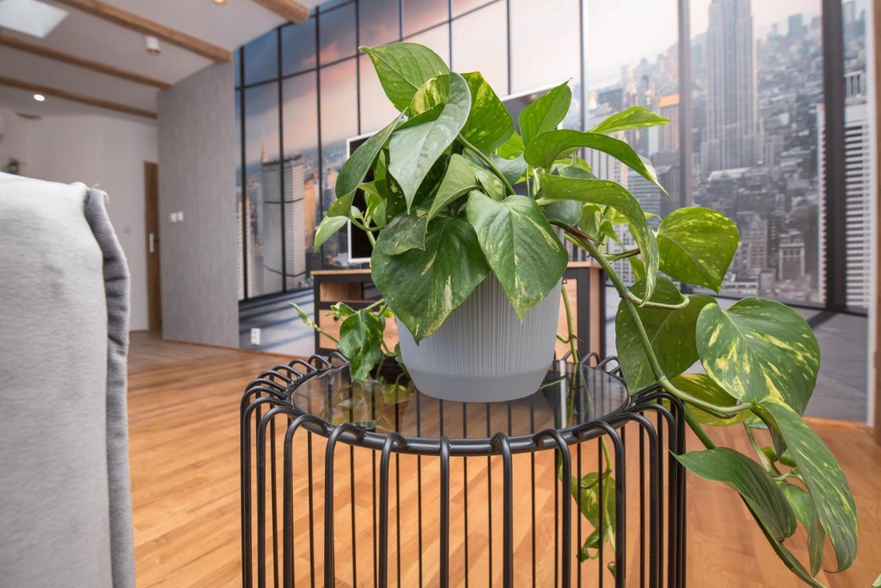 Apartament Mikolowska 2 Gliwice Esterno foto